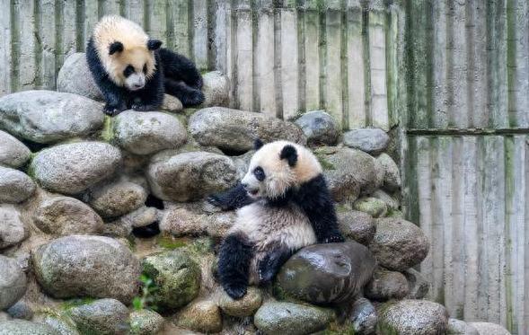 成都市区必去的景点，你打卡过几个？