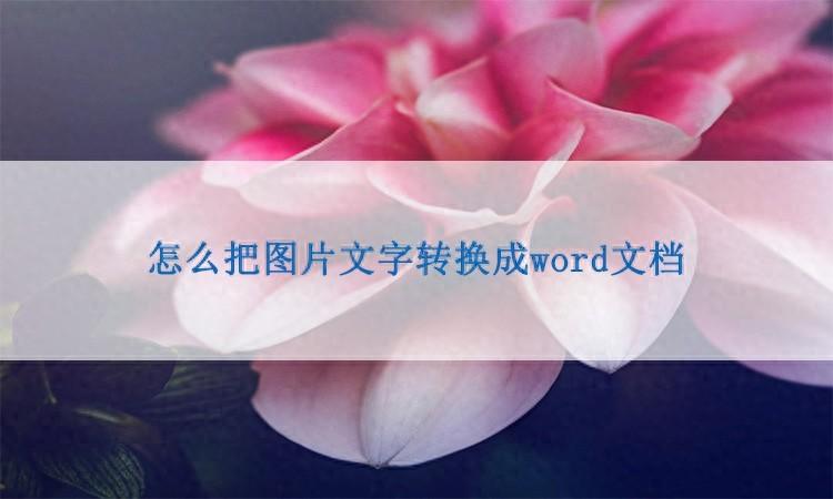 怎么把图片上的文字完整地转换成word文档？