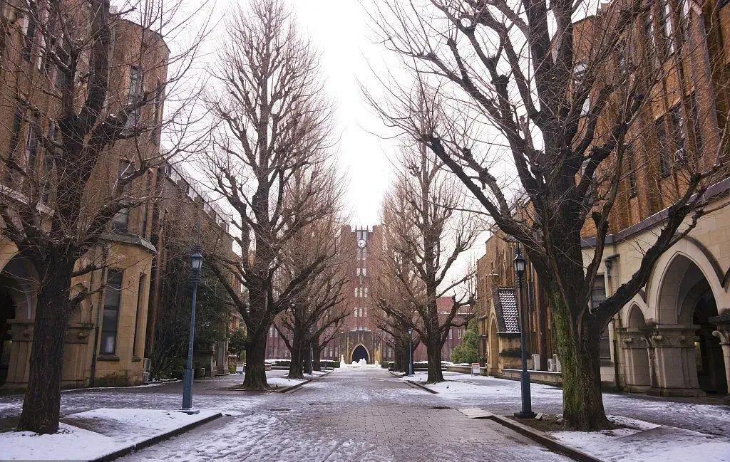 去日本留学需要什么学历 ？快来了解一下吧