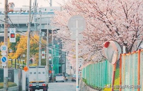 留学日本需要具备哪些条件 ，建议收藏