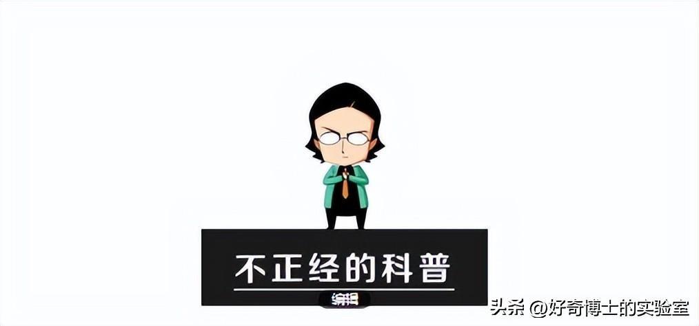 为什么很多女生的小肚子，都是鼓鼓的？