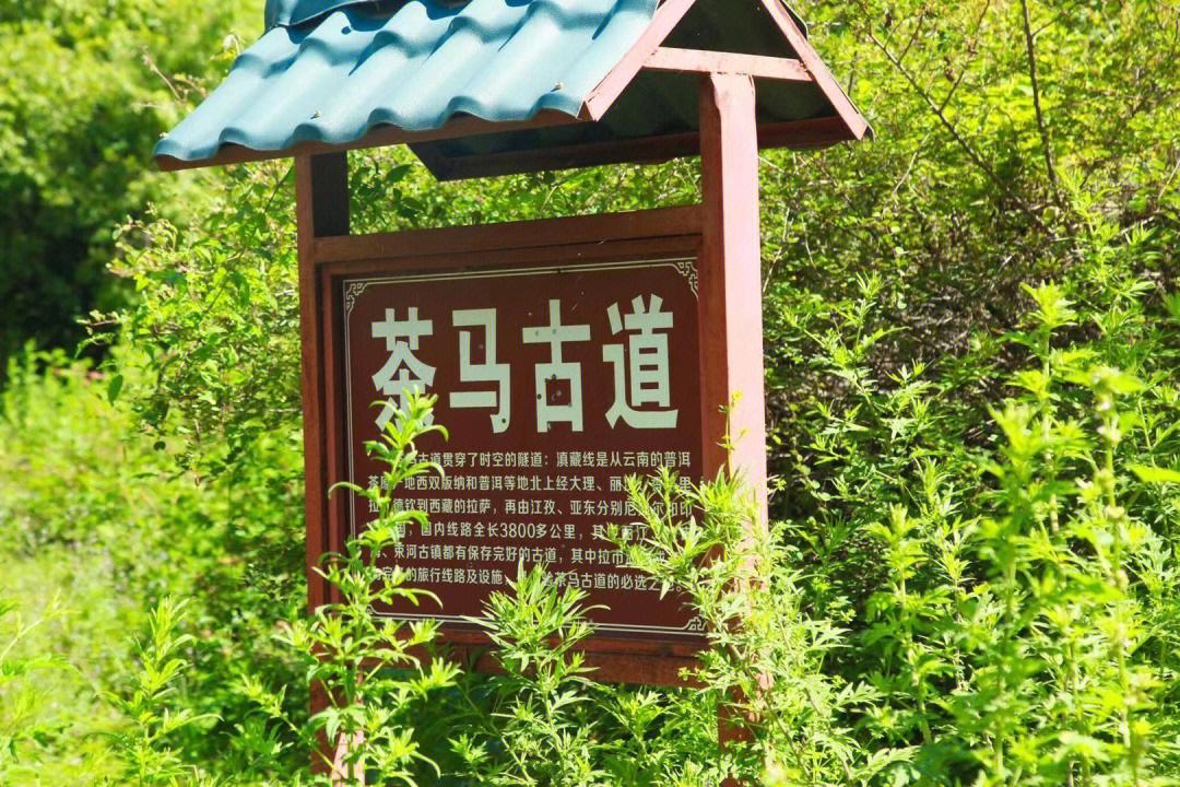 丽江拉市海攻略自由行攻略  建议收藏