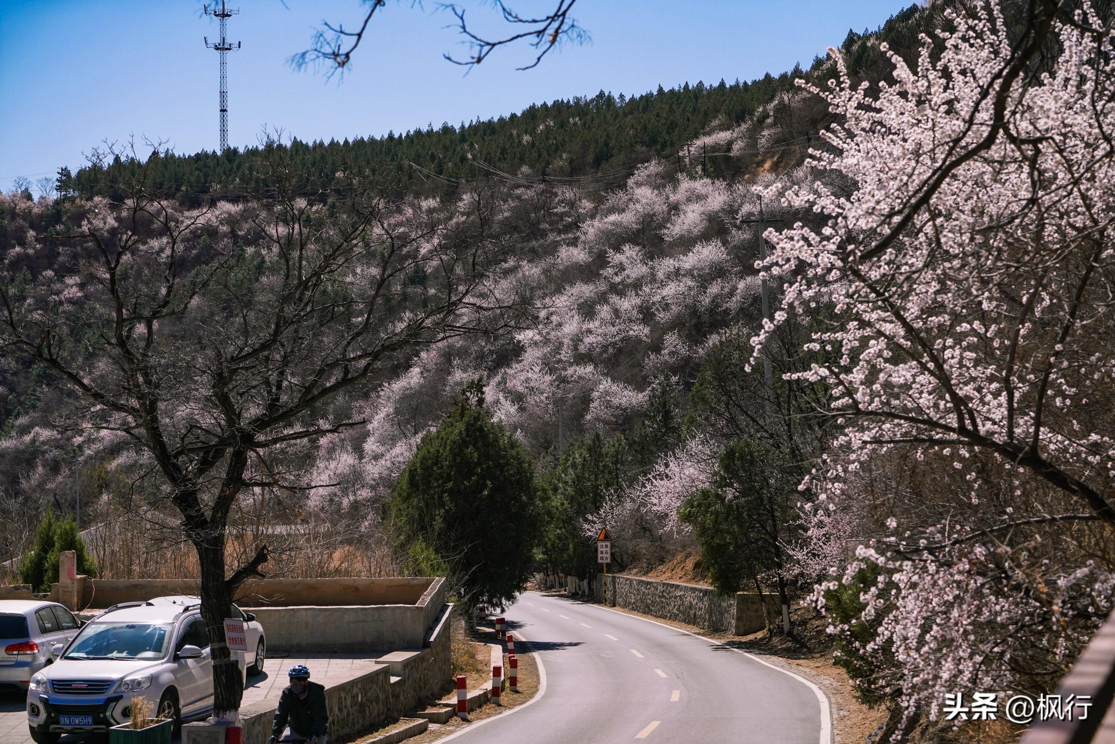 北京妙峰山旅游攻略 ，初夏周末游，可爬山、可休闲、可礼佛