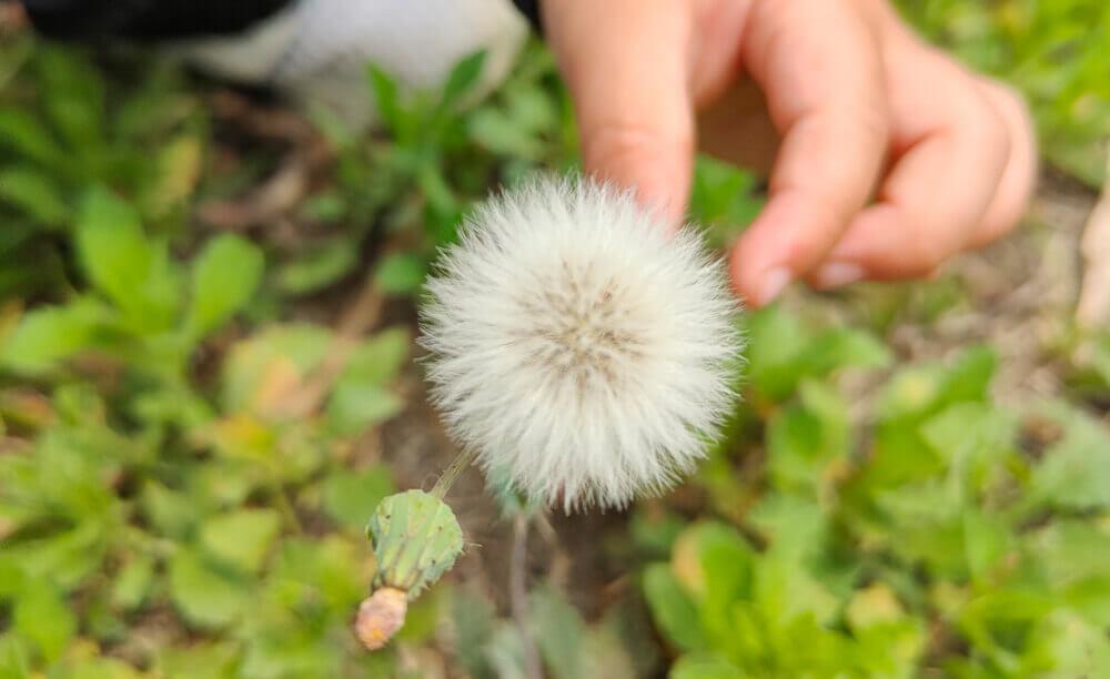 成都青龙湖景点介绍 快来看看吧