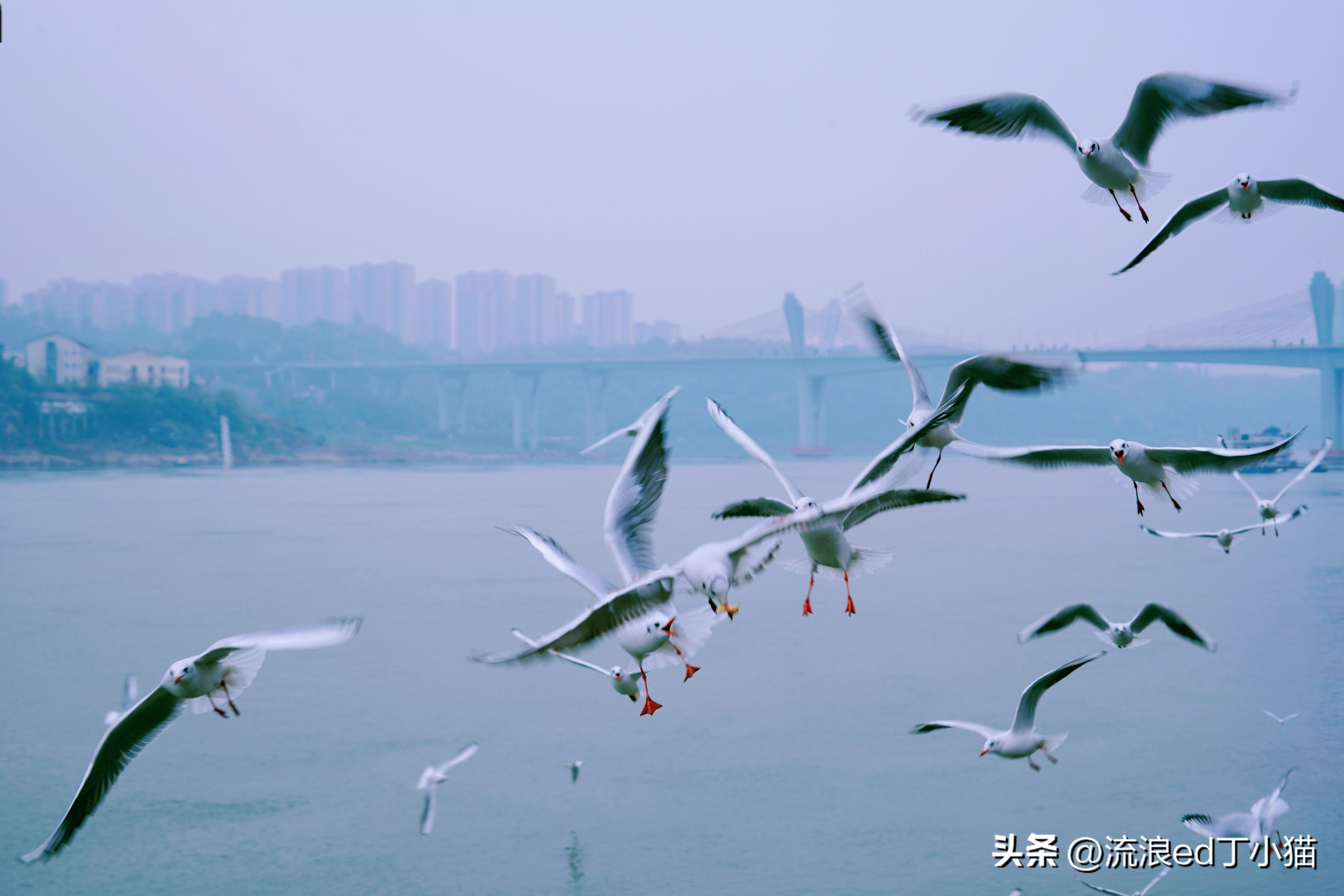 川南旅游必去十大景点推荐 ，有诗和远方也有酒有故事