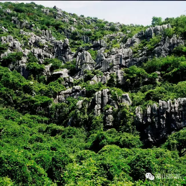 常山旅游必去十大景点 假期余额不足，值得你去的地方