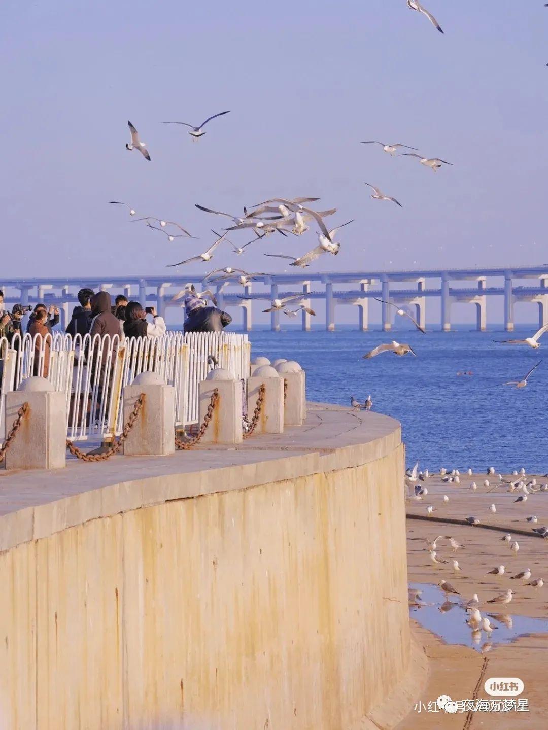 大连冬天旅游攻略 ｜一定要来看海