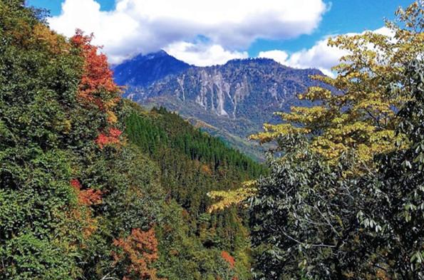 成都鸡冠山风景区旅游攻略 ，“大熊猫爱情走廊”