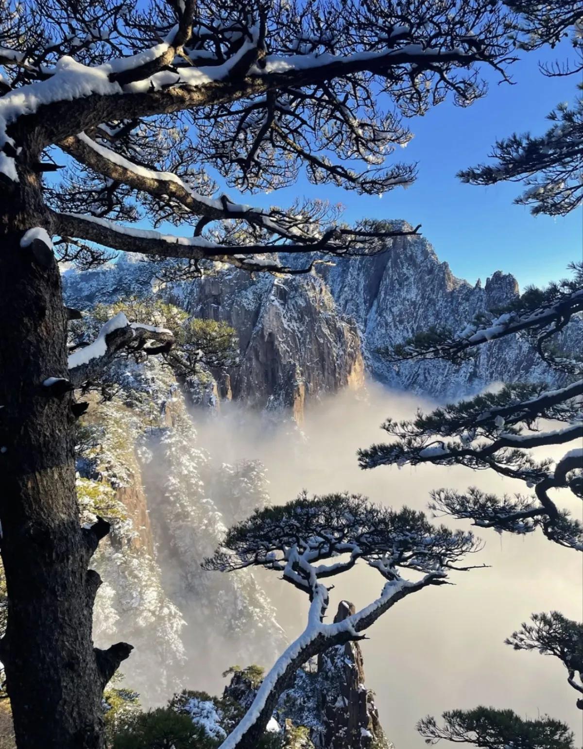 黄山旅游介绍 ，是一座著名的旅游胜地