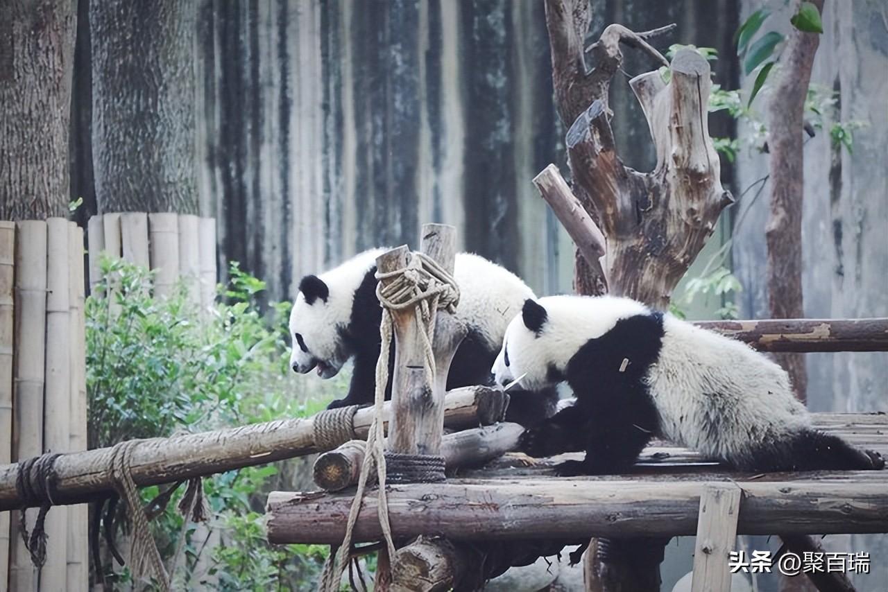 成都周边必去的十大景点 你去过几个？？