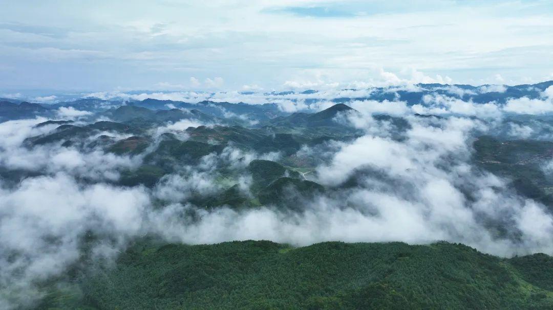 毕节大草原景点旅游景区介绍 云海、星空、草原、骏马美如仙境