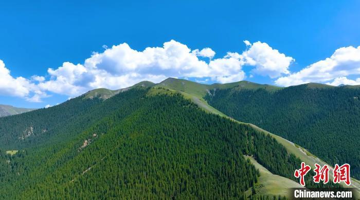 巴音阿门景区介绍 ：夏日湖光山色两相宜