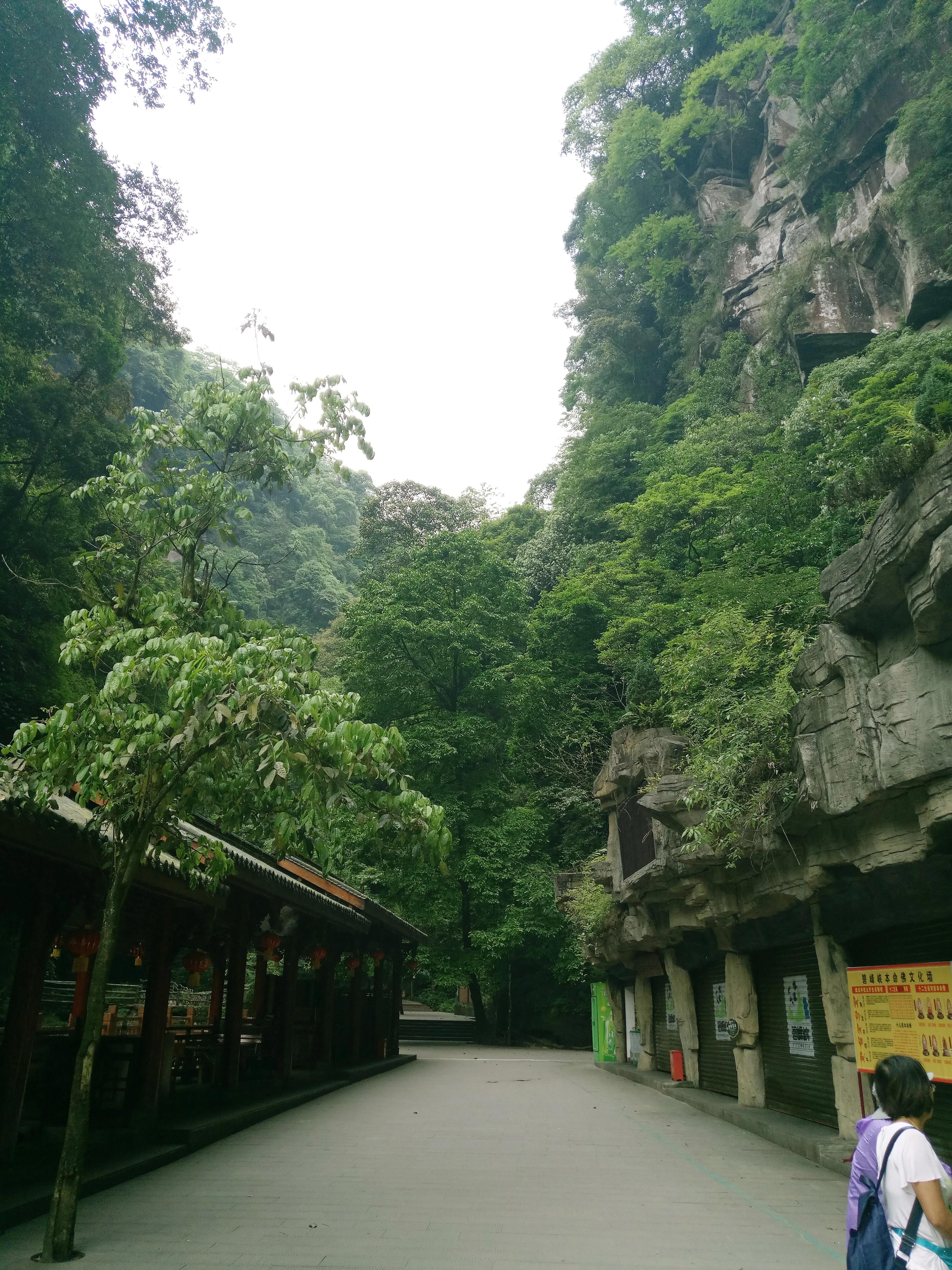 碧峰峡的风景区介绍，318线不能错过的景点