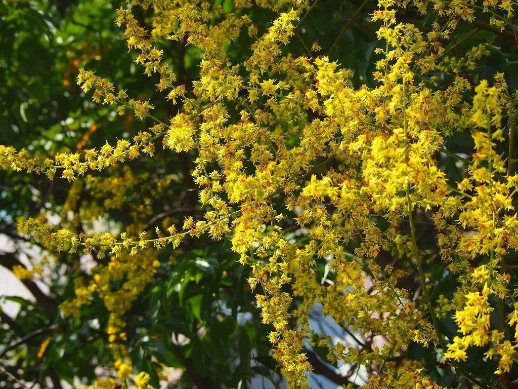 宝山区好玩的景点介绍 来这几个宝地，享受“慢生活”