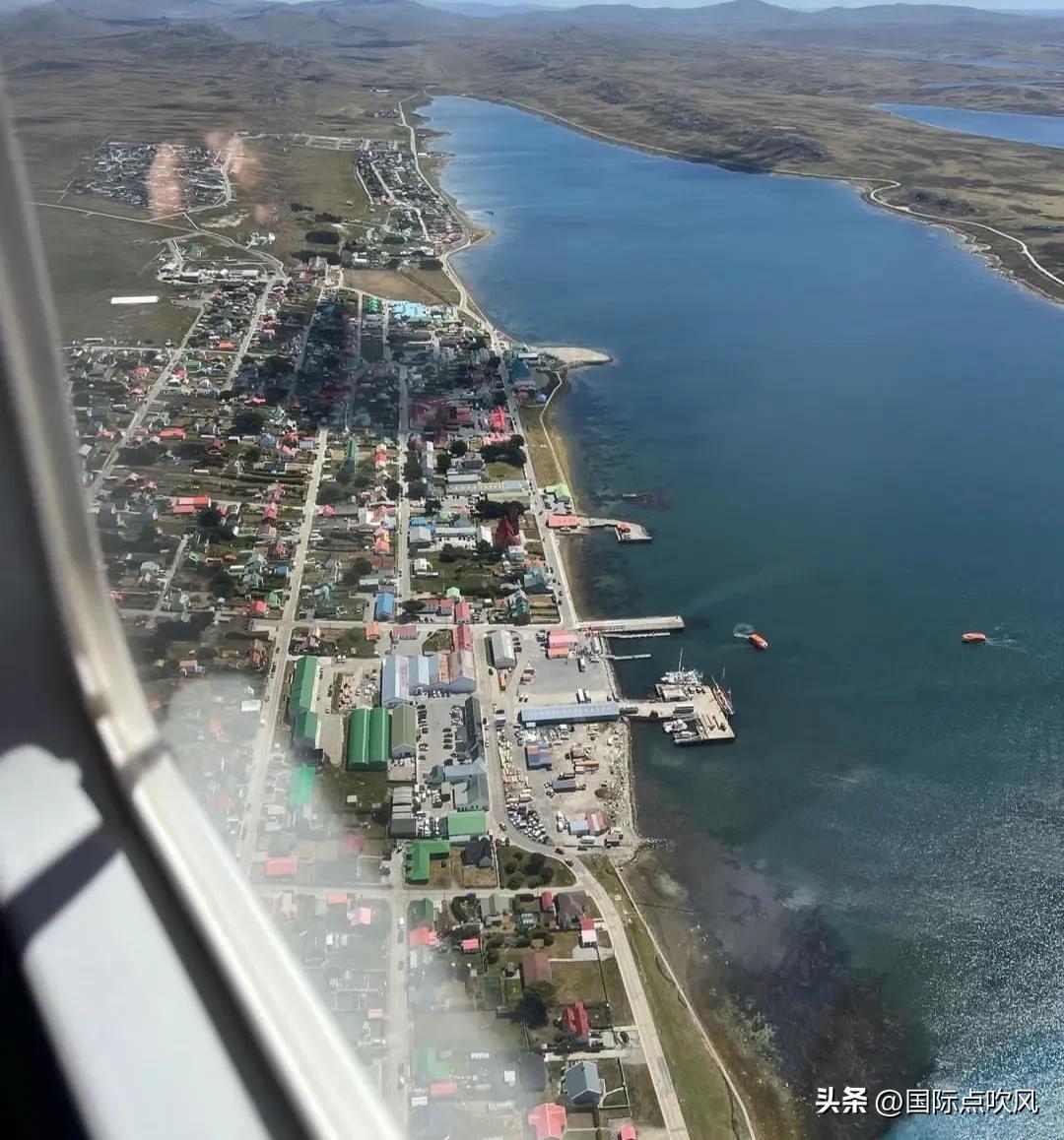 福克兰岛：在地雷堆上幸福生活的企鹅