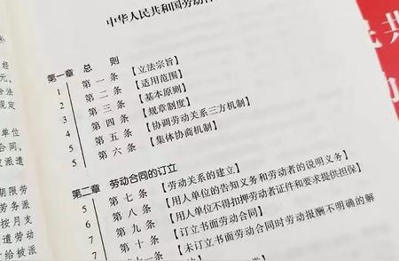 《劳动合同法》全文逐条解析