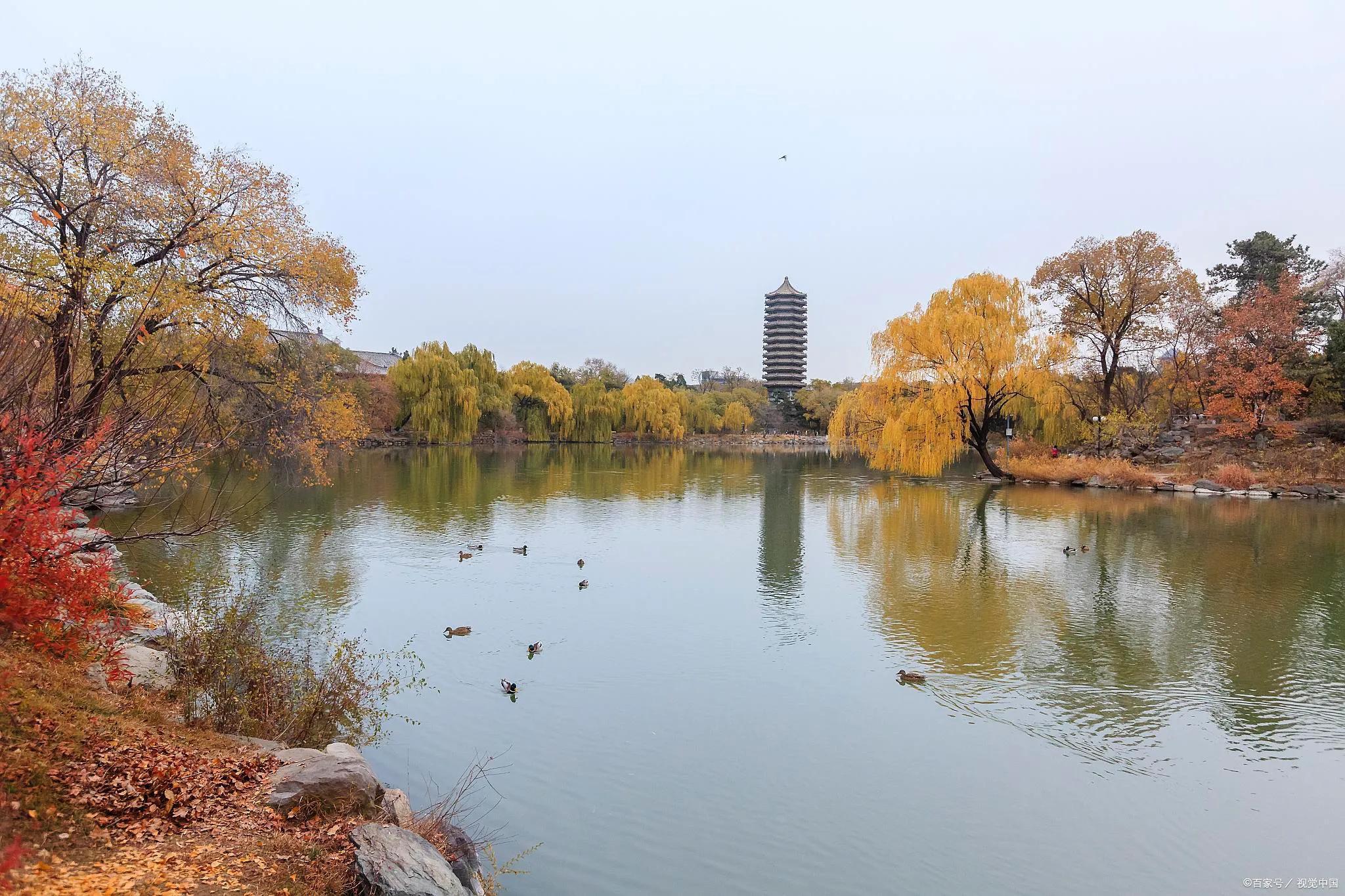 北大分数线是多少（北京大学录取分数线及位次公布）