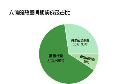 人一天需要多少热量维持生命（人每天消耗多少能量）