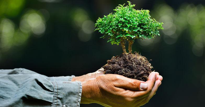 生态系统的基石是什么（动植物之间“调和器”：打破传统观念，认识生态平衡的奥秘）